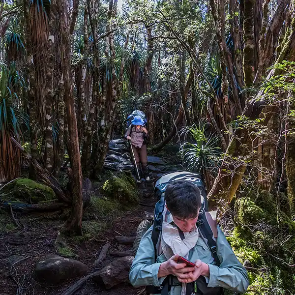 Walking through a wet forest, James is in the foreground looking at his mobile phone and Christine is in the background.
