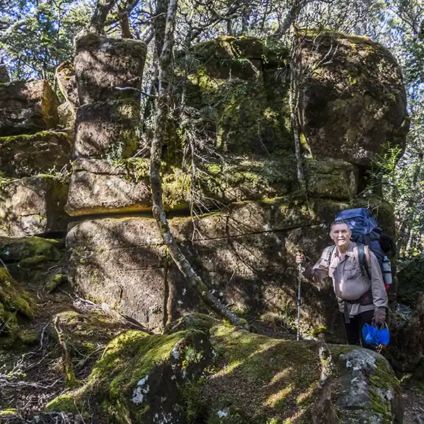 Graham in the tree tree forests is standing next to a large rock outcrop covered in ferns.