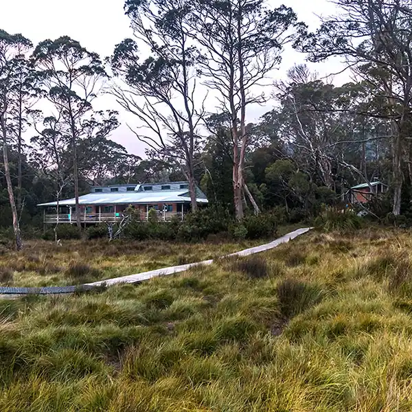Pelion hut is set among tea trees and button grasses.