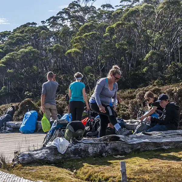 Other trekkers stopping for a lunch break at Pelion Gap on day 4 of the Overland Track walk.