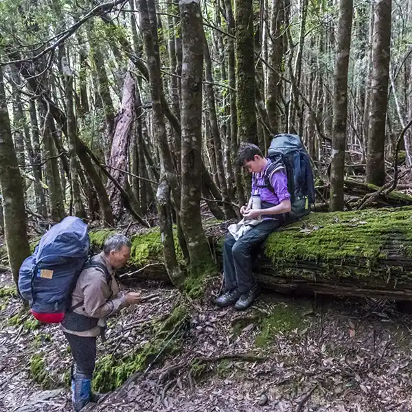James is sitting on a large fallen log, while Graham is standing near by.