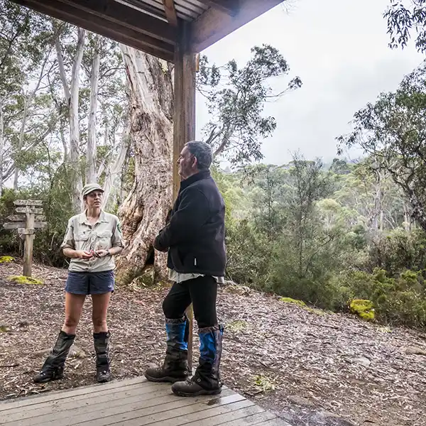 Graham and a Ranger are standing on the veranda of the Narcissus hut.