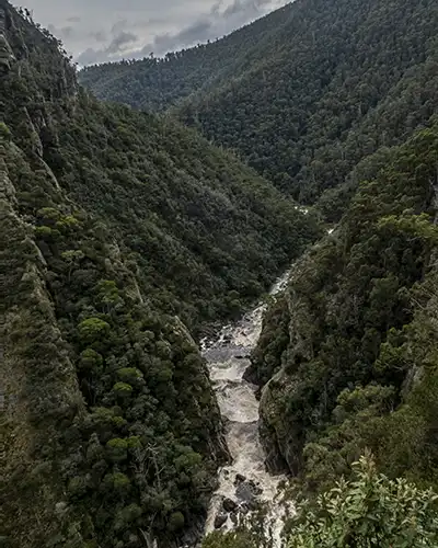 The Leven canyon has steep limestone cliffs above the fast-flowing river.