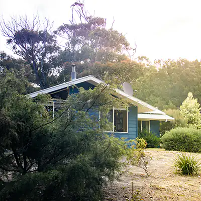 This is a side view of a blue weather-board beach shack surrounded by shrubs.