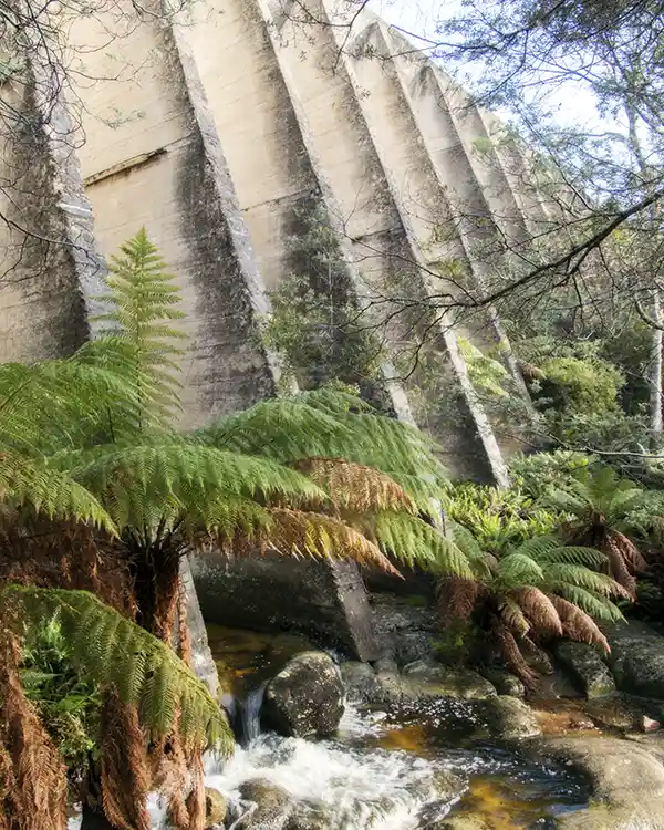 The Cascade River flows through the wall of the Mt paris dam. In this view the down-stream concrete butresses can be seen.