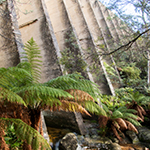 Mt parid dam wall showing the butresses and the Cascade River.