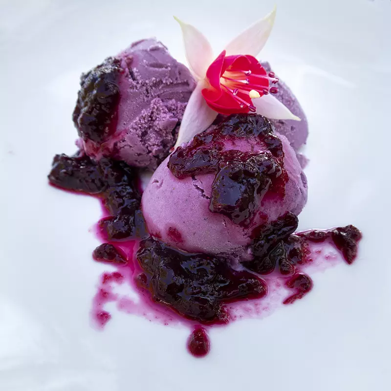 Three scoups of vegan blueberry gelato on a white plate are drizzled with blueberry jam. on the top of the scoups is a pink fushia flower.