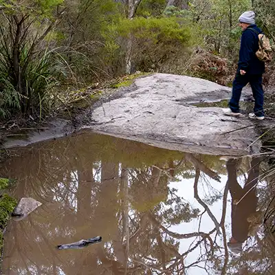 Teas tree scub is reflected in a muddy pool of water on the Mount Stronach walk.