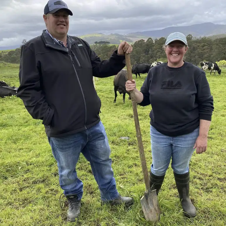 A man and a woman farmers standing in a green paddock surrounded by dairy cows. They are folding a long-handled shovel.