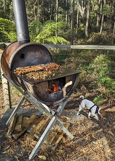 A wood-fored BBQ made from a stell drum has sausages cooking. Perhpas another way to make biochar?