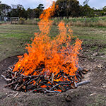 pit kiln fire