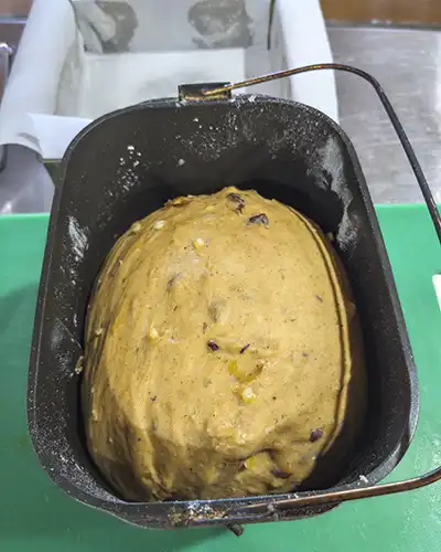 Risen bread dough in a bread maker pan.