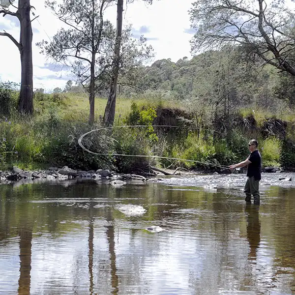 A man is fly-fishing in the Ringarooma River near Tin Dragon Cottages