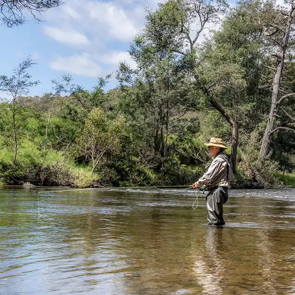 A man is fly-fishing in the ringarooma River near Tin Dragon Cottages