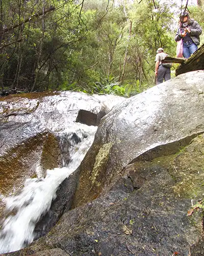 This is a small cascade on the Guiding Star Creek.