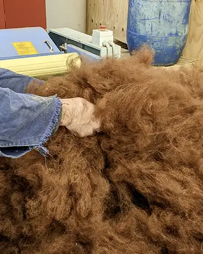 A man is handling a large amount of red brown alpaca fibre