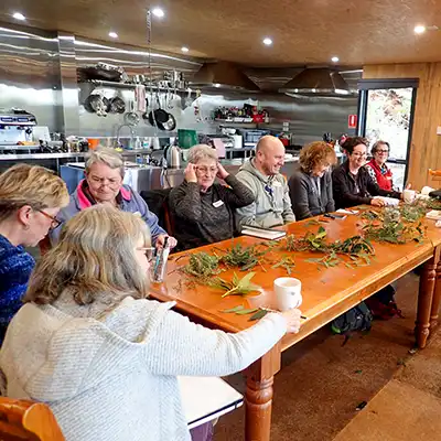 Eight people sitting at a timber table with plant specimens in front of them