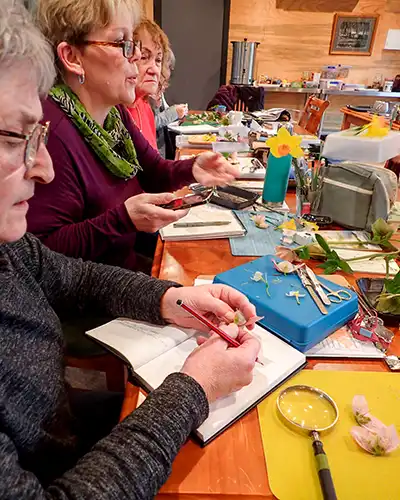 Several retreat participants are seated at a timber table. They have sketch books, disecting equipment, magnifying glasses and plant specimens in front of them.