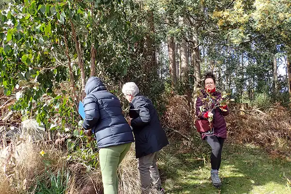 Three women collecting plant specimens for their nature journaling projects.
