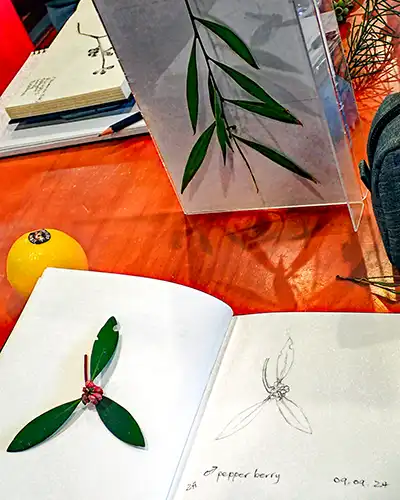 Basic pencil sketch of Tasmanian native pepperberry berries and leaves.