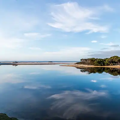 Looking out to sea, Mount WIlliam national park, Northeast Tasmania