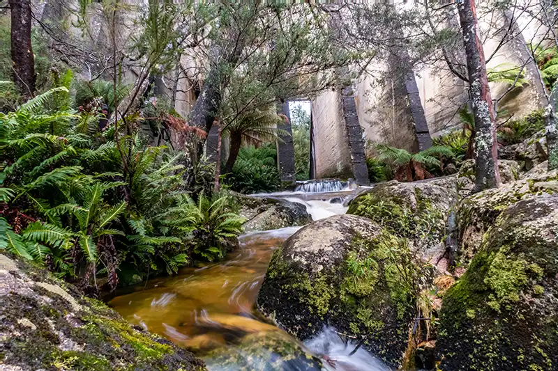 Here Pepper Bush nature based tours are visiting Mount Paris dam in northeast Tasmania.