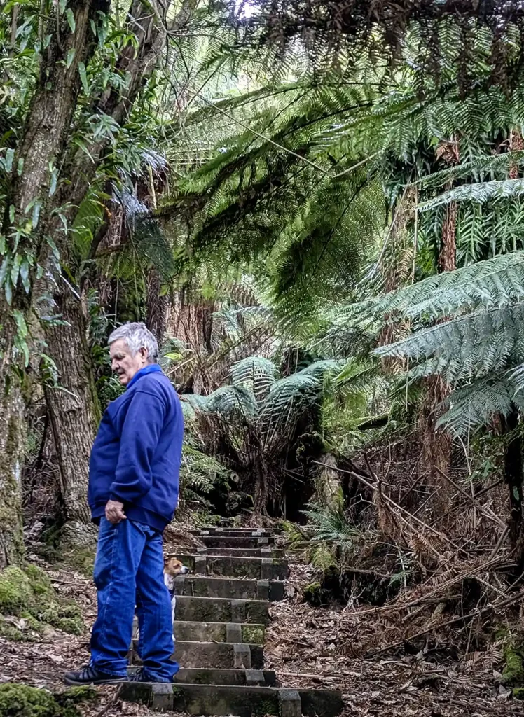 An older man is standing on steps in the Notley Gorge in Tasmania