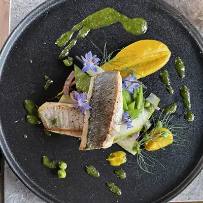 Two fillets of fish and serveral colourful vegetables are arranged on a black plate