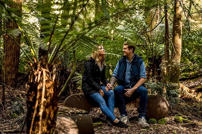 A couple are sitting on a stone bench surrounded by tree ferns and sassafras trees