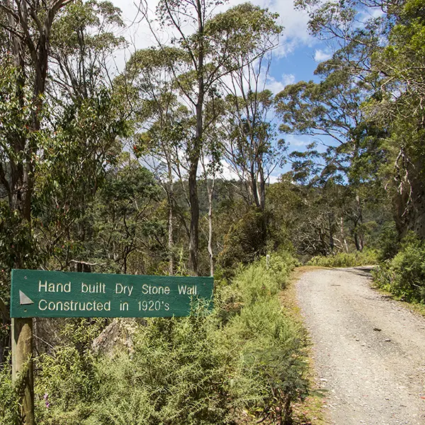 Hand built dry stone wall on the road to Ralphs Falls in North East Tasmania