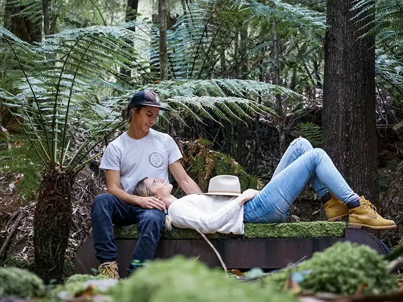 Explore the bush trails at Tin Dragon Cottages in North East Tasmania