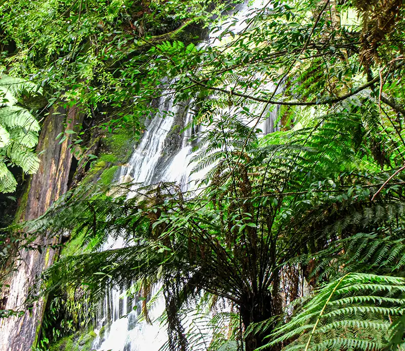 Cuckoo Falls in North East Tasmania
