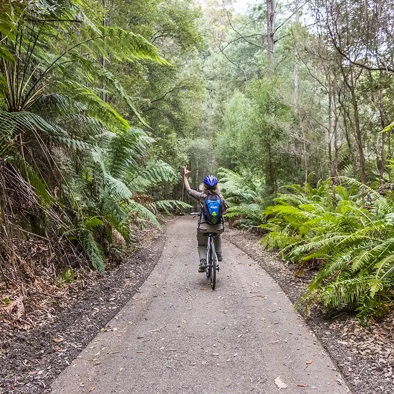 A single woman rider is at the top end of the rail trail at Tullendeena