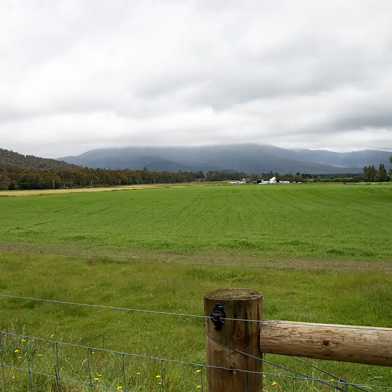Rich green cultivated paddocks seen from the North East Rail Trail
